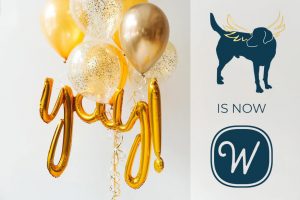 Dogs Fly Design is now Willhouse